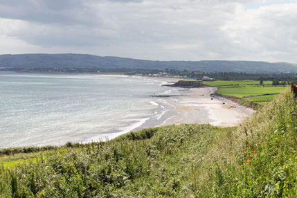 Clonea beach